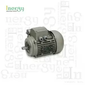 Inergy_electrogen_crs_motor.jpg